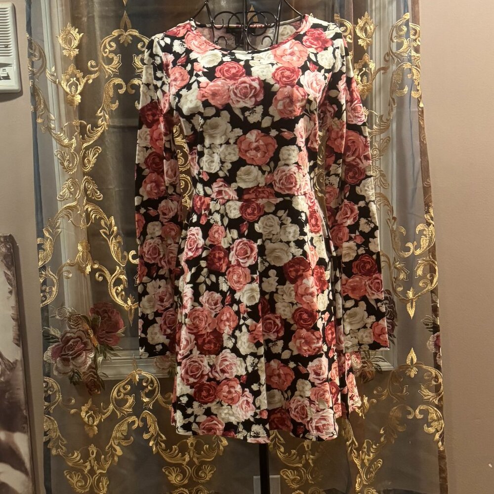 roses skater dress ~ L
